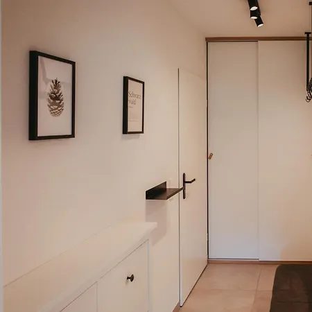 Schwarzwald Loft Panoramablick Menzenschwand شقة