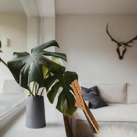 شقة Schwarzwald Loft Panoramablick Menzenschwand *