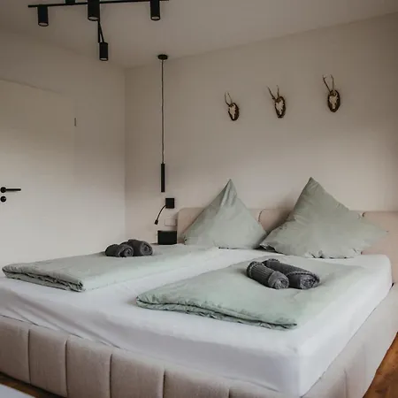 Schwarzwald Loft Panoramablick Menzenschwand شقة سانت بلاسين