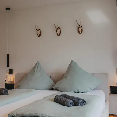 Schwarzwald Loft Panoramablick Menzenschwand