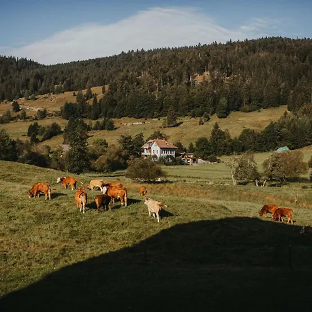 Schwarzwald Loft Panoramablick Menzenschwand شقة *