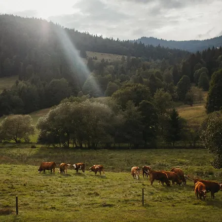 Schwarzwald Loft Panoramablick Menzenschwand شقة سانت بلاسين