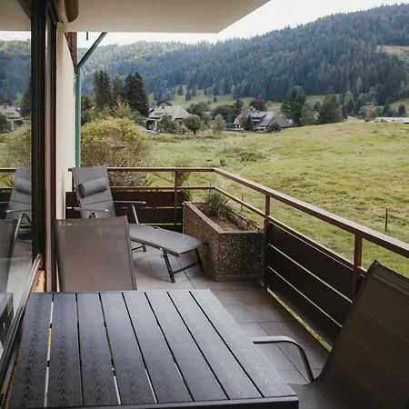 Schwarzwald Loft Panoramablick Menzenschwand *