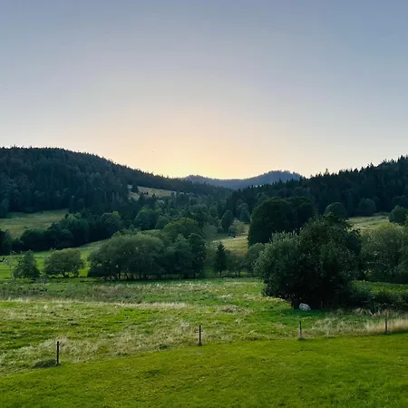 شقة Schwarzwald Loft Panoramablick Menzenschwand سانت بلاسين