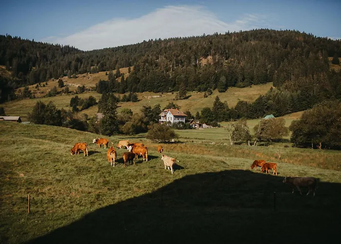 Schwarzwald Loft Panoramablick Menzenschwand Appartamento *